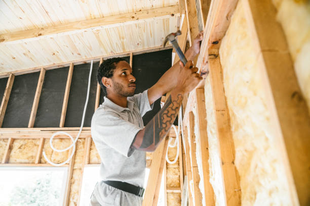 Thermal Imaging for Insulation Gaps in Homestead Meadows South, TX